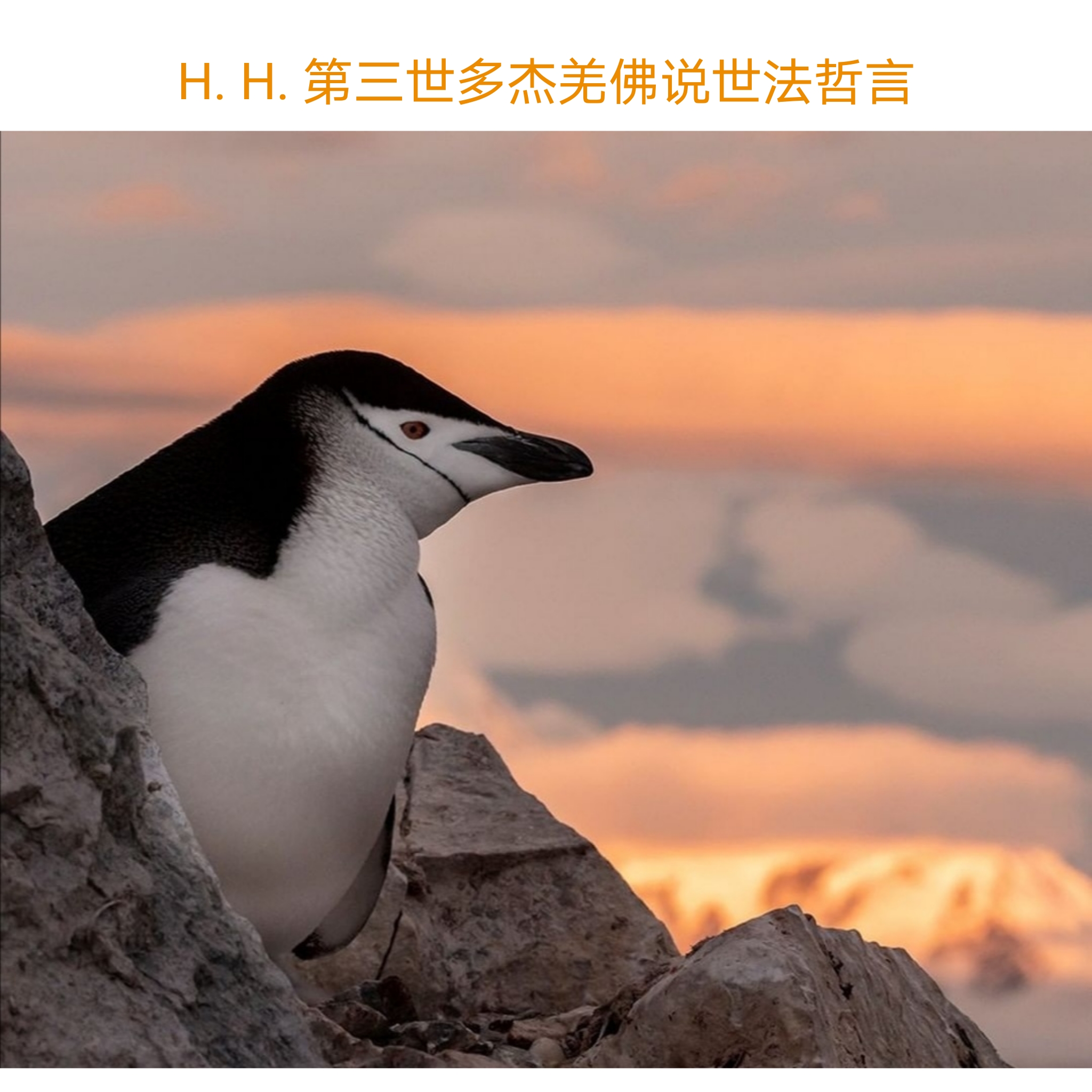 第三世多杰羌佛