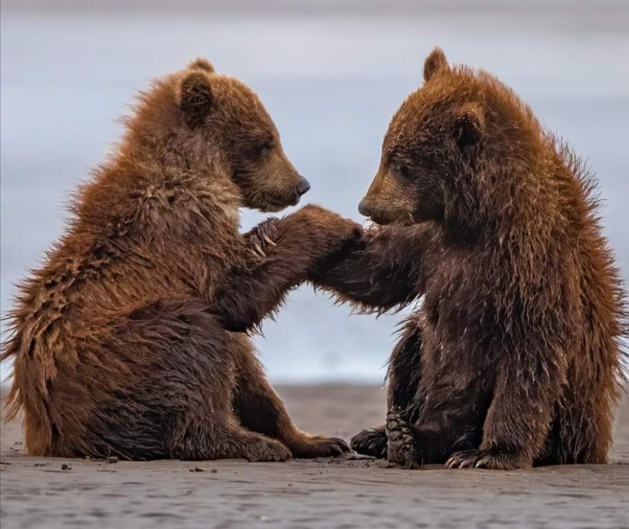 H.H. 第三世多杰羌佛