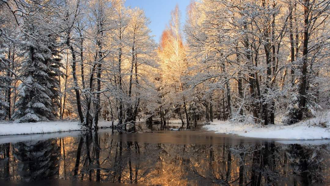 第三世多杰羌佛