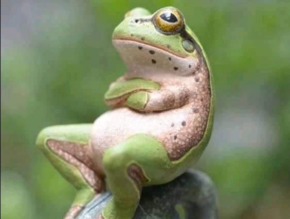 第三世多杰羌佛