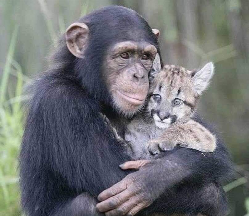 第三世多杰羌佛