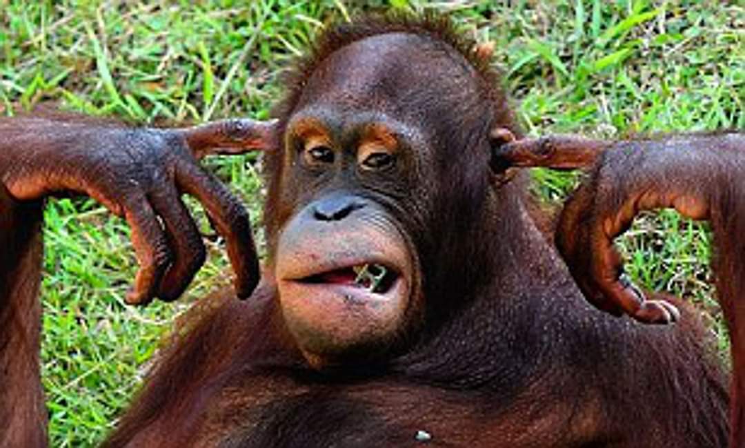 第三世多杰羌佛