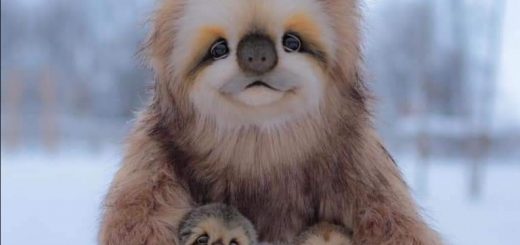 第三世多杰羌佛