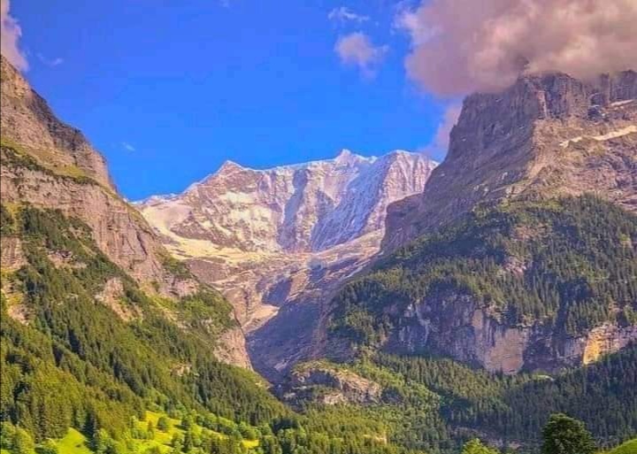 第三世多杰羌佛