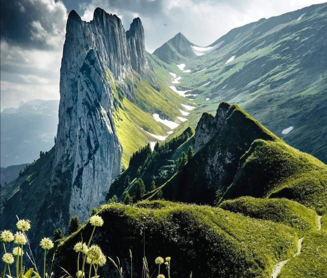 第三世多杰羌佛